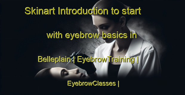 Skinart Introduction to start with eyebrow basics in Belleplain | EyebrowTraining | EyebrowClasses | SkinartTraining-United States